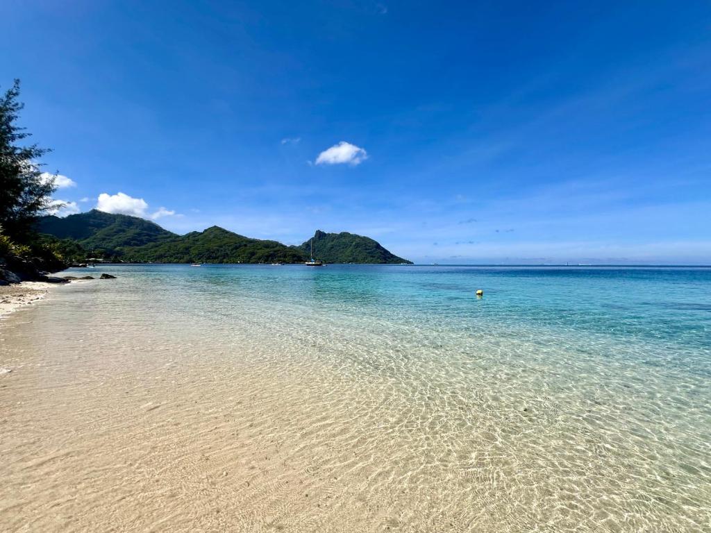 法勒Meri Lodge Huahine « ROOM OF MARTA »的清澈的海水和山脉背景的海滩