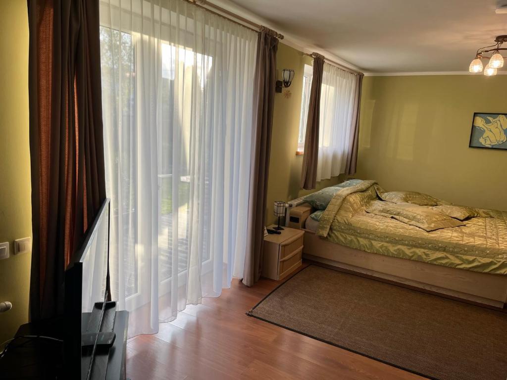 萨拉茨格里瓦Family House Apartments的一间卧室设有一张床和一个大窗户