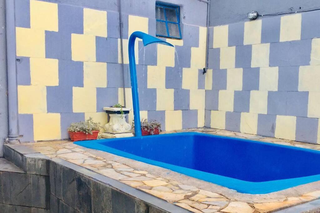 贝洛奥里藏特Piscina Casa Floresta/Sta Teresa/Central/Contorno/Serraria Souza Pinto/Area Hospitalar的蓝色浴缸位于墙上