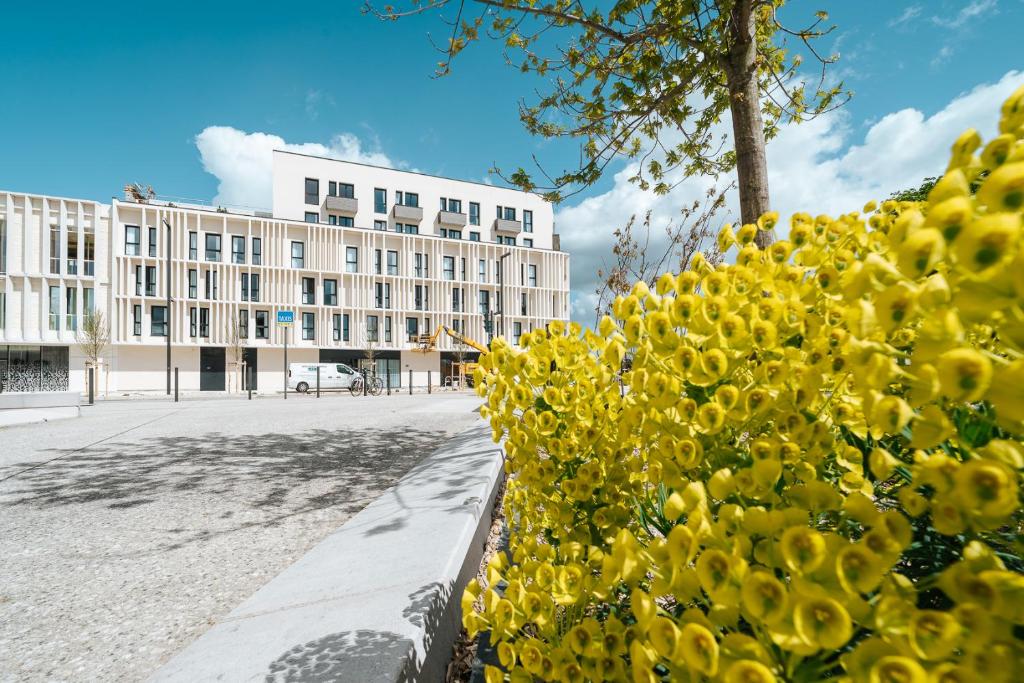 布鲁瓦Beelodge Hotel Blois Centre的建筑前的黄色花 ⁇ 