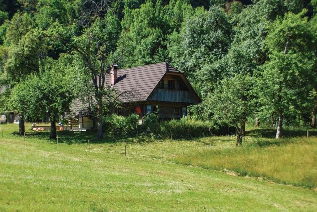 波希基斯卡贝拉Chalet Kupljenik Near Bled Lake的树木林立的田野中的房子