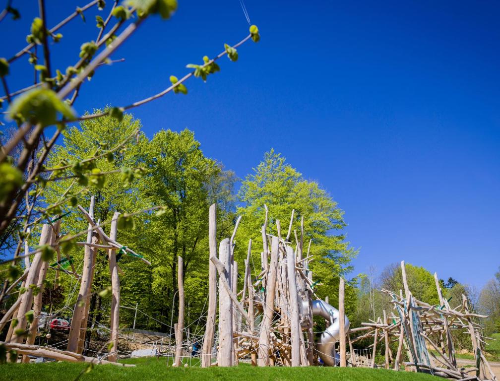 弗赖翁格耶斯堡假日公园酒店的树木林地里一堆木头