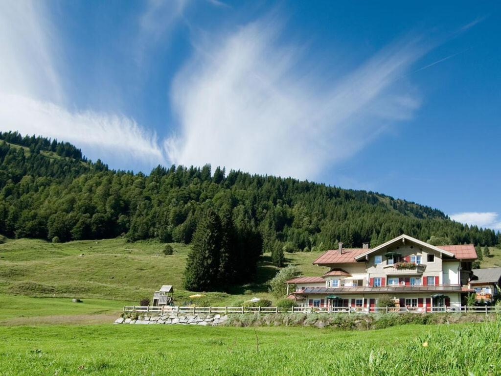 巴尔德赫旺2 in Alpenrösle Modern retreat的田野上山丘上的大型房屋