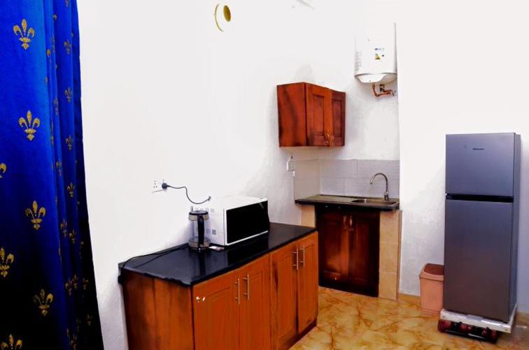 科洛里Sunu Sal Apartment的厨房配有冰箱和带微波炉的台面
