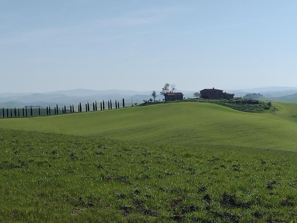 科尔萨诺Agriturismo Poggio Repenti的一座绿色的山丘,上面有一座房子