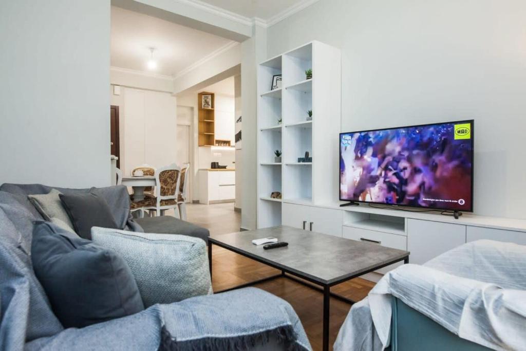雅典Brand new apt in Zografou的带沙发和平面电视的客厅