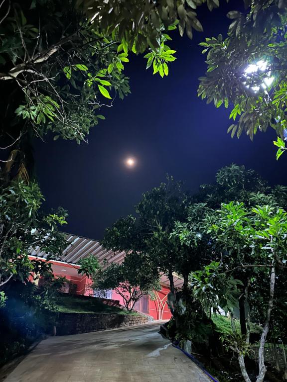 Tang Jran DringHome 1986的夜空月亮的街道