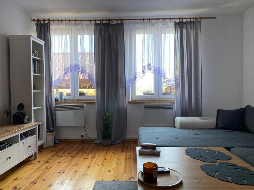 GrodziskApartament Hajstra z ogrodem的客厅设有蓝色的沙发和2扇窗户。