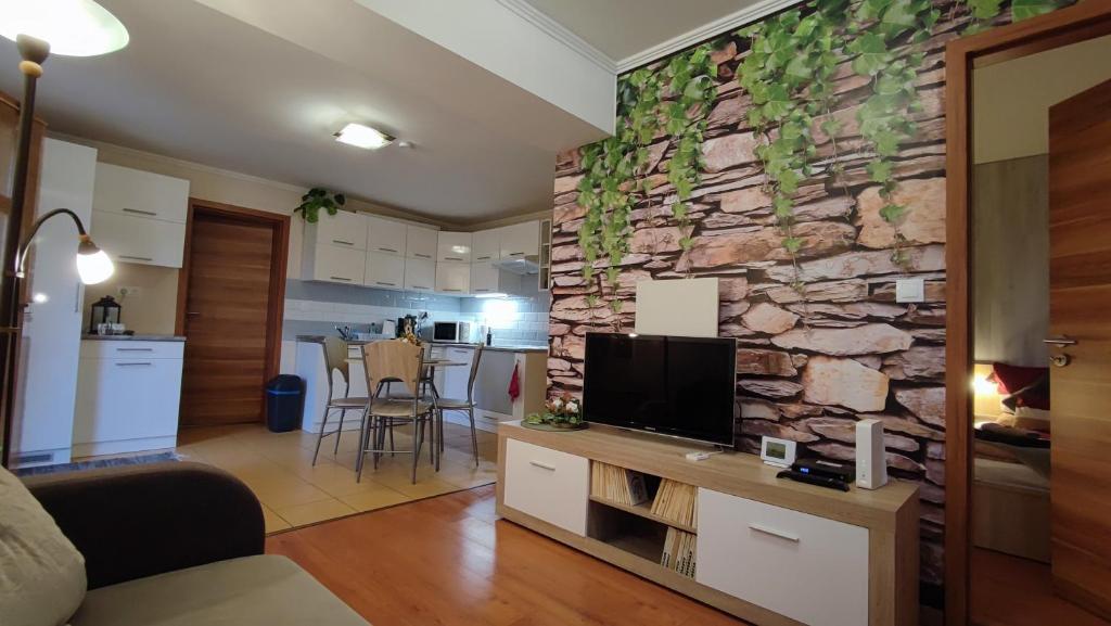 加尔多尼Limonádé Apartman的一间带电视和石墙的客厅