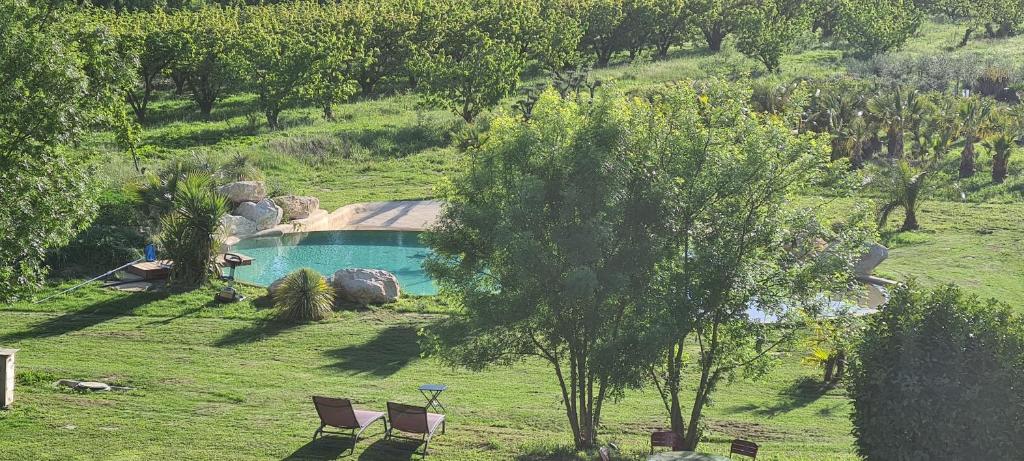 阿维尼翁Mas des Cerisiers SPA-SAUNA inclus pour tous les logements的田野上的游泳池,有两把椅子和一棵树