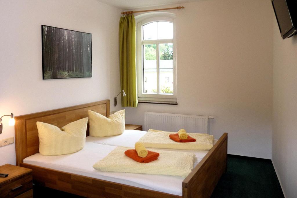 施莱茨Pension und Ferienwohnung am Teich的配有2张床的带毛巾和窗户的客房