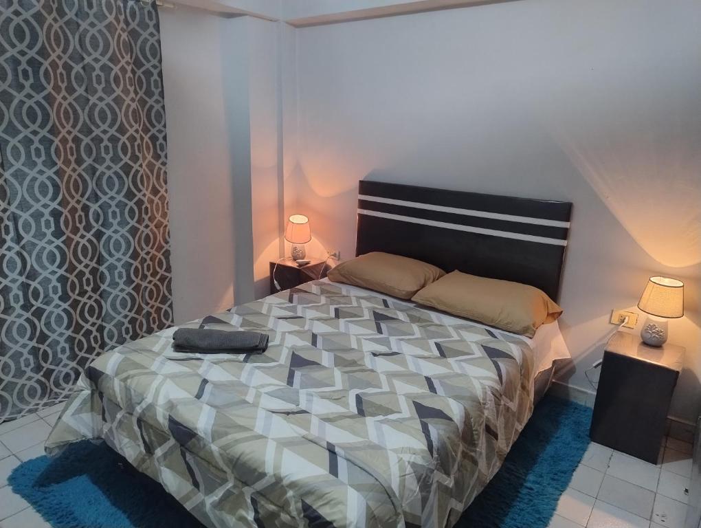 亚松森S&B Apartamento的一间卧室配有一张大床和两盏灯