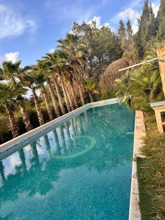 CheragaSunset view的一座拥有蓝色海水和棕榈树的游泳池