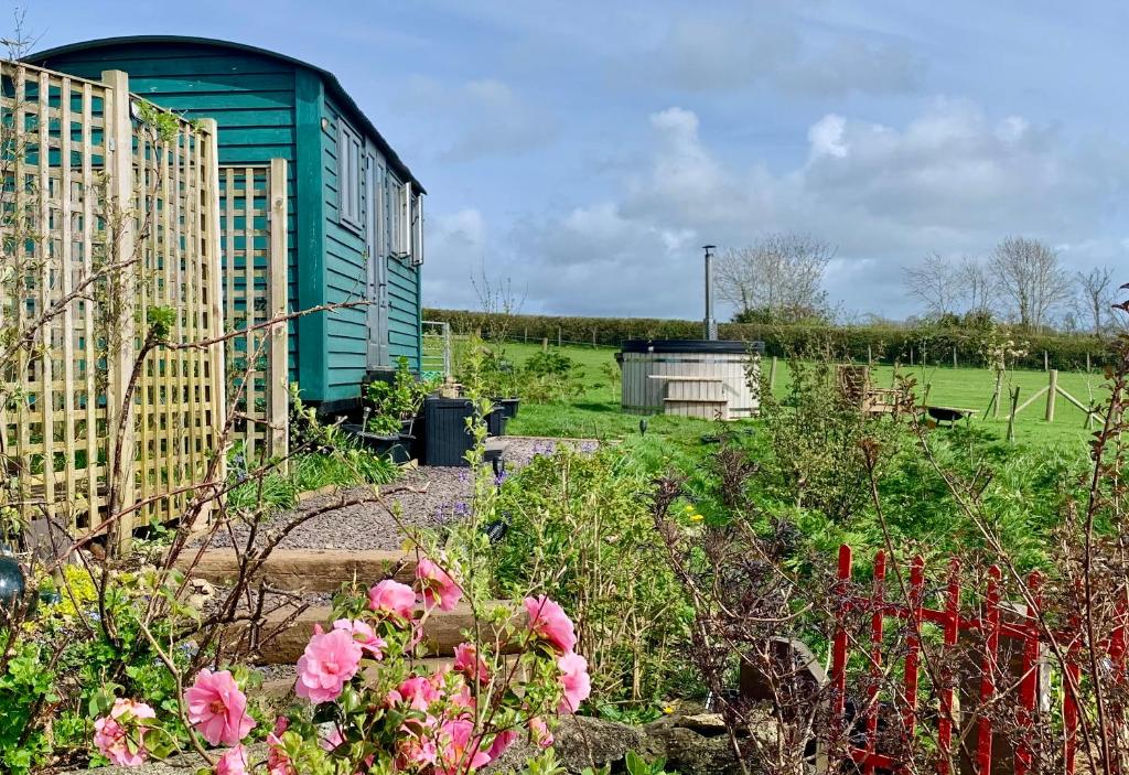 兰韦尔普尔古因吉尔Bluebell Shepherds Hut with Hot Tub的一座花园,花园内种有粉红色的花卉,一座绿色的建筑