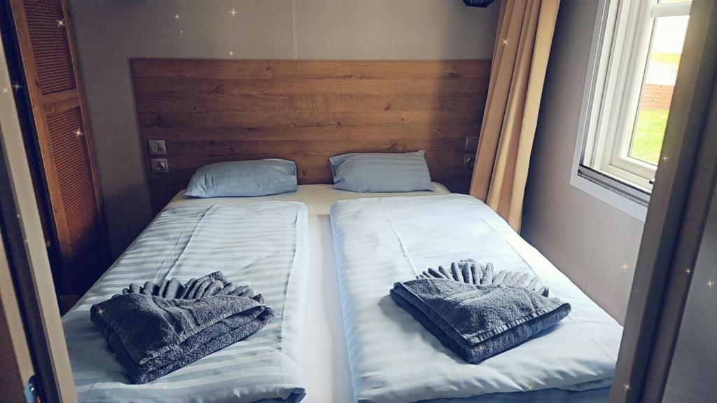 贝尔多夫O'Hara Living的带窗户的客房内设有两张单人床。