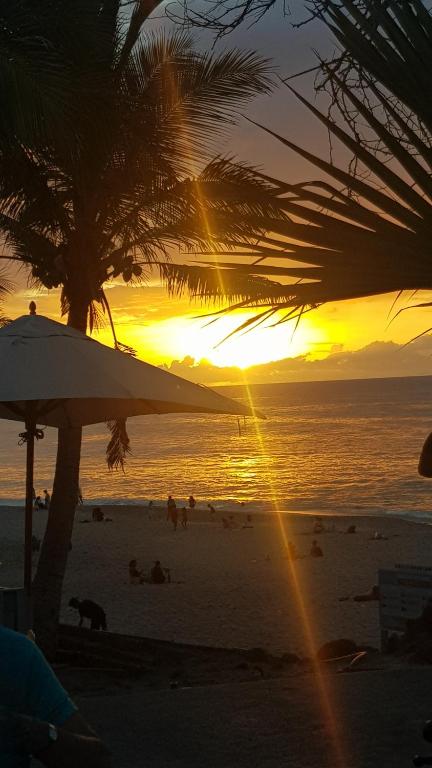 圣保罗Locations Alpinia Réunion的棕榈树海滩上的日落