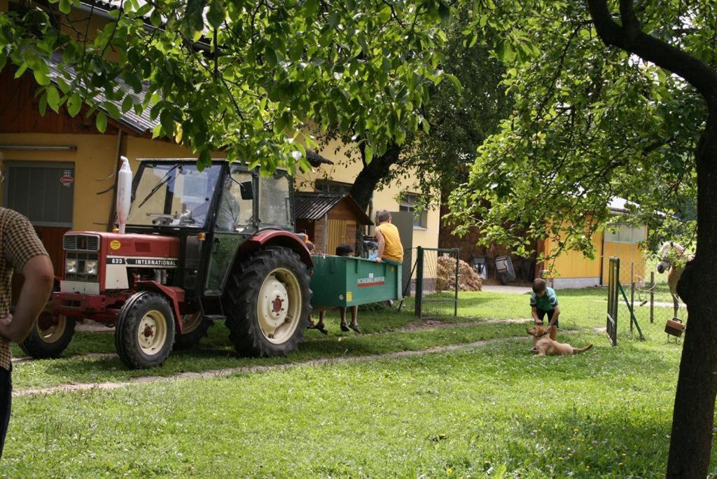 UnternarrachBauernhof-Pension Puschnikhof的拖拉机停在狗旁边院子内