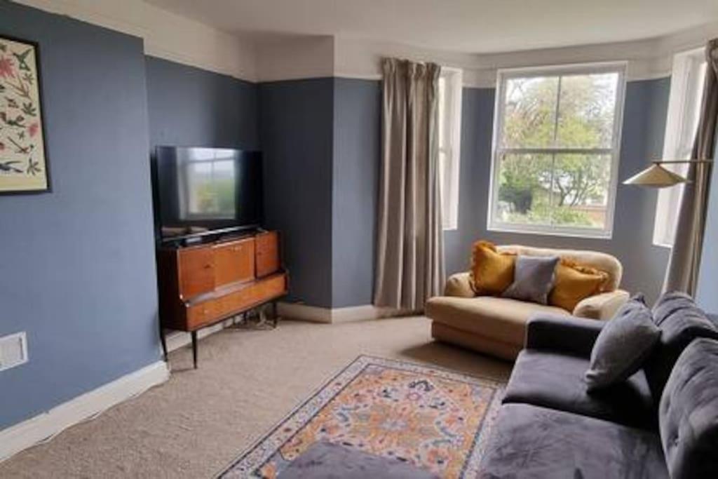 圣伦纳兹Basement flat in St Leonards的带沙发和电视的客厅