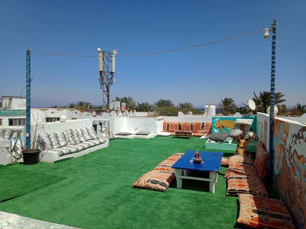 达哈布My Hostel in Dahab - Dive center的庭院设有绿色草坪、桌子和长凳