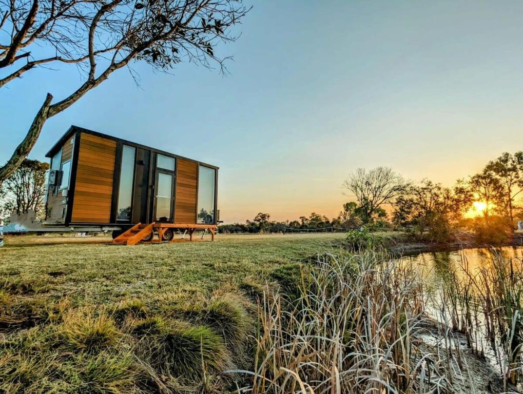 ToogoomTurtle Island Lakeside Tiny House的田野上的玻璃房子,带长凳