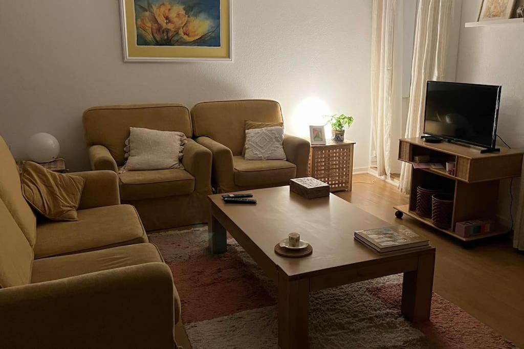 圣佩罗多索Vouga Lodge的带沙发和咖啡桌的客厅