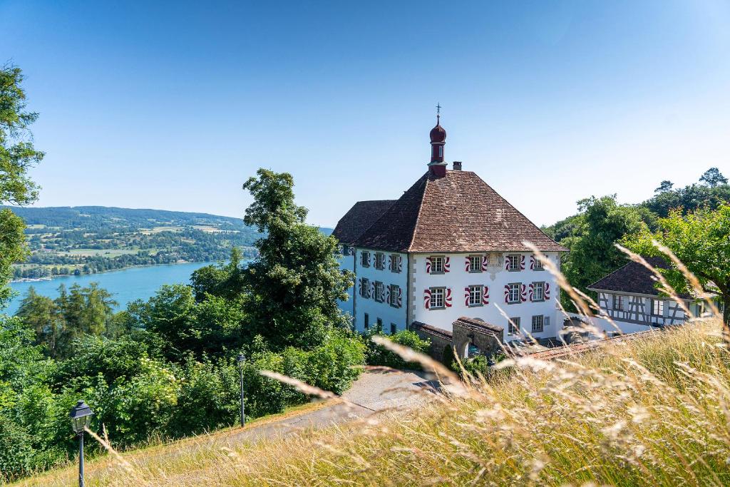 埃申茨Schloss Freudenfels的一座位于山坡上,有湖泊的建筑