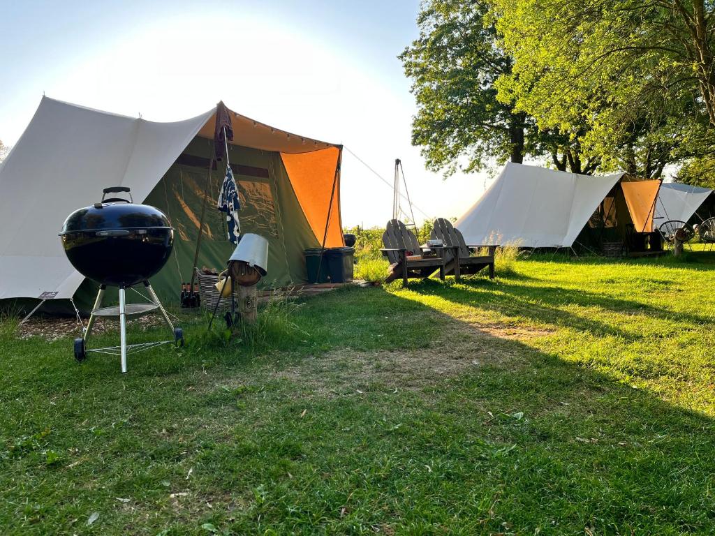 NistelrodeKampeerbeleving Dijksehoeve的一群帐篷,位于一个有烤架的场地内