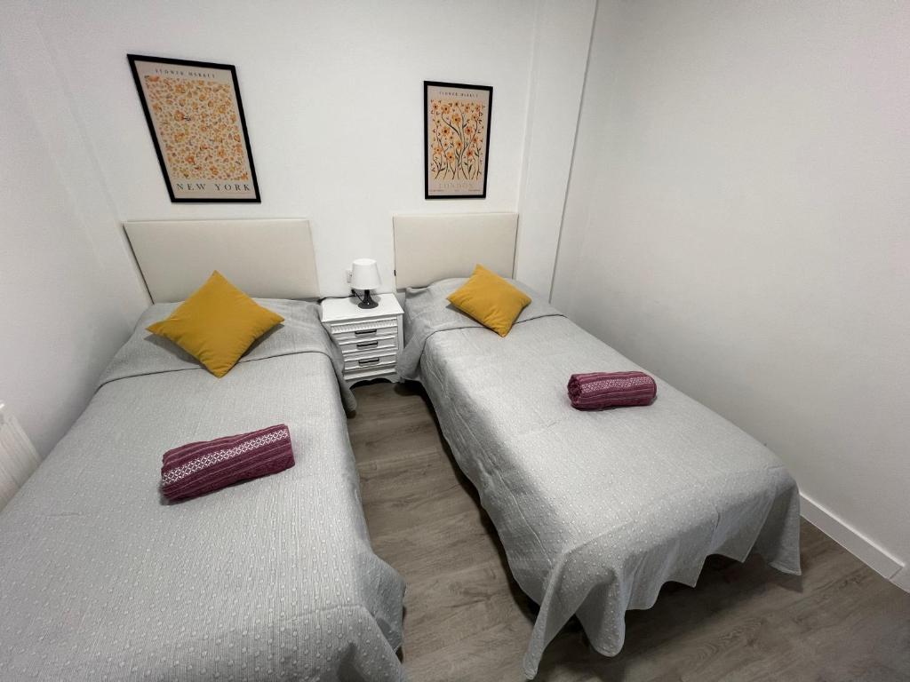 萨里亚Piso Camino de Santiago的带两张单人床的小客房 - 带喷雾器