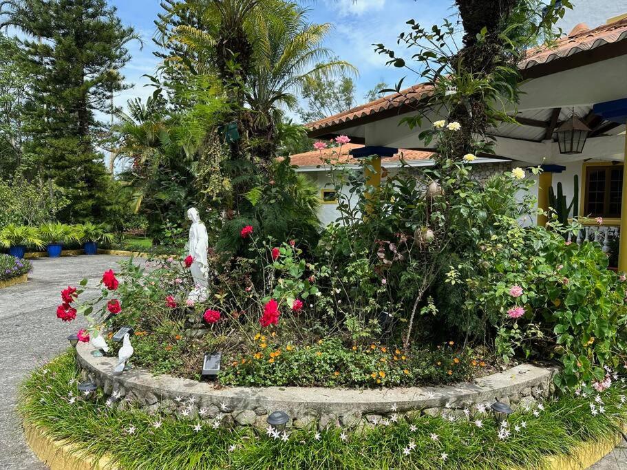 埃尔巴列德安通Quinta Las Victorias的庭院里种有雕像和鲜花的花园