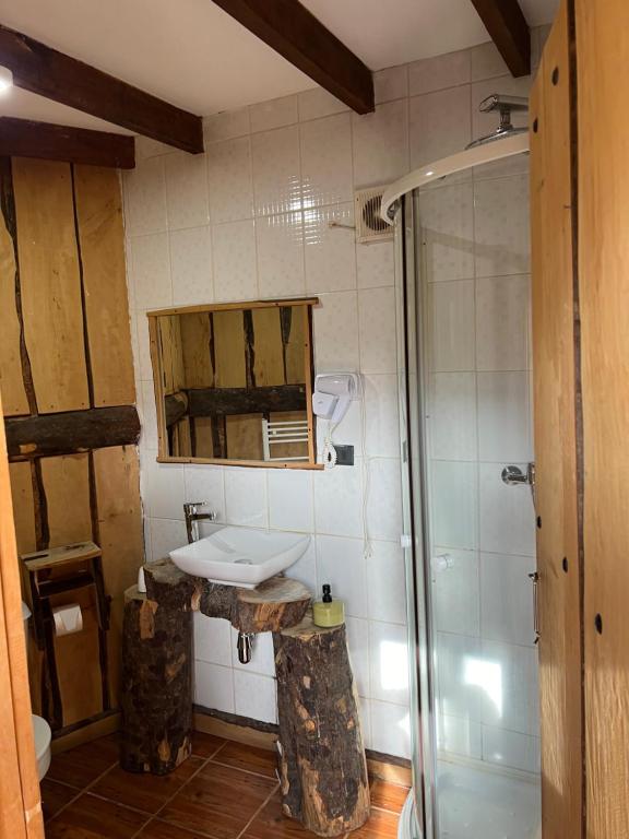 富特罗诺Cabañas Pewma Futrono的一间带水槽和淋浴的浴室