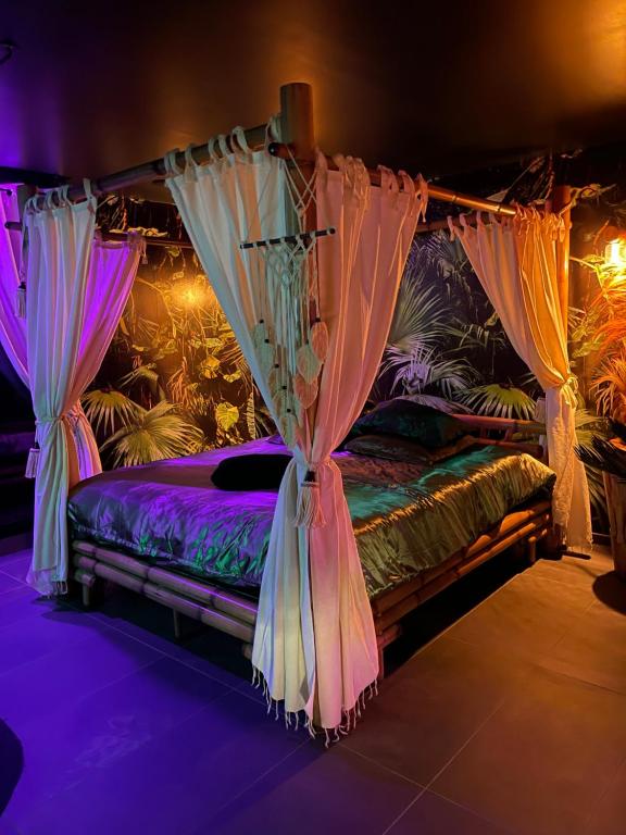 阿兹布鲁克La Terrasse Des Spas的一间卧室配有带窗帘的天蓬床