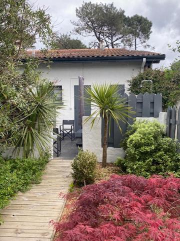 比斯卡罗斯La Villa du Grand Large的花园内种有棕榈树的白色房子