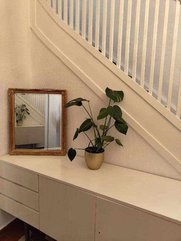 韦策Guesthouse in Weeze的楼梯下架子上的镜子和植物