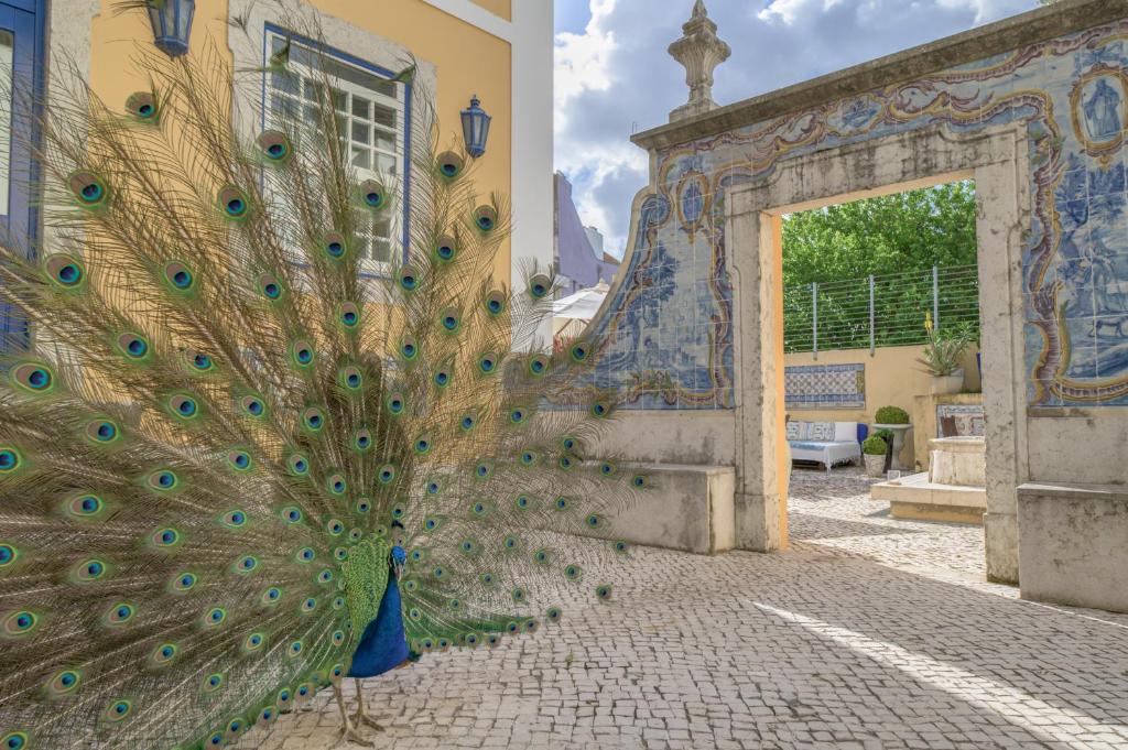 里斯本Solar do Castelo - Lisbon Heritage Collection - Alfama的建筑一侧孔雀羽毛雕塑