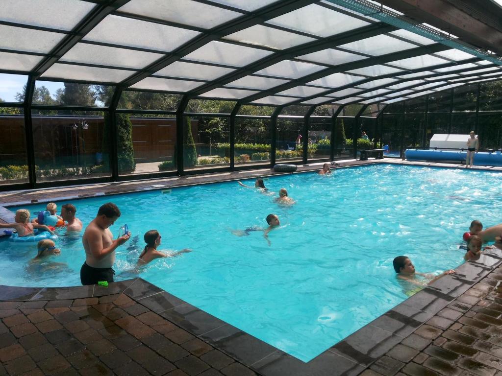 DiffelenFamiliepark de Vechtvallei的一群人在游泳池游泳