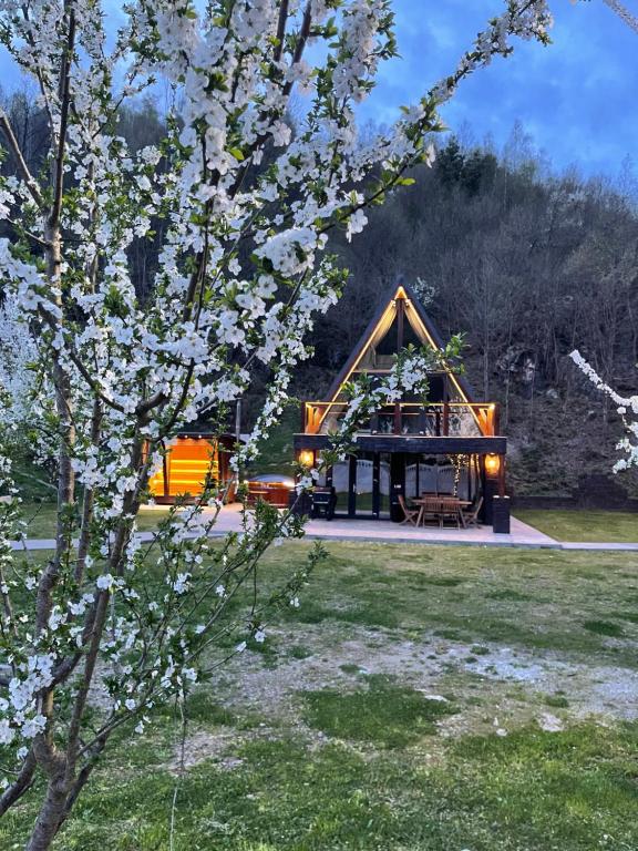 彼得罗沙尼Valea Mosului - Chic A Frame的园内种着花树的凉亭