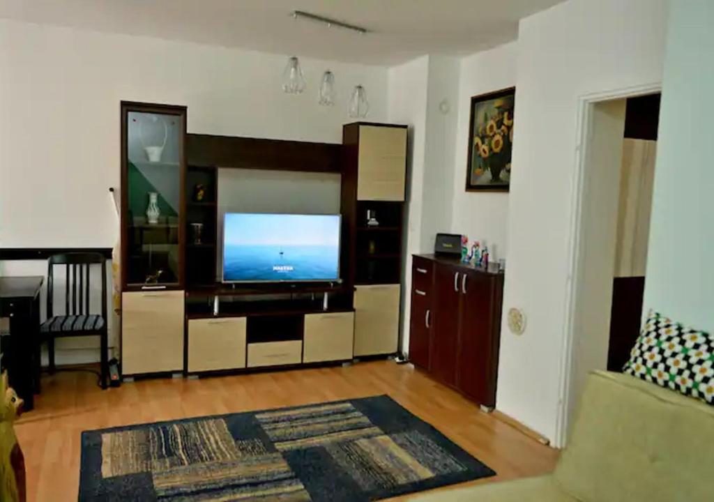ZemunThree Aces Apartment的带平面电视的客厅