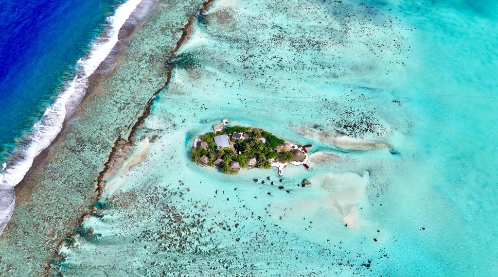 PatioEDEN Private Island TAHAA的海洋岛屿的空中景观