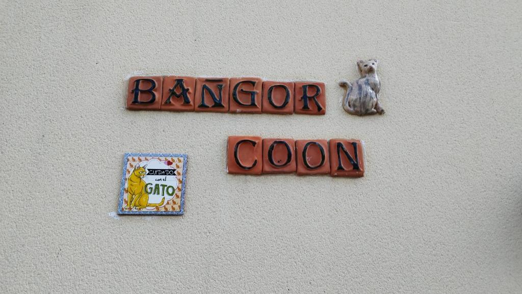 ForgesLe Bangor Coon的墙上的标牌,上面有培根科洛科洛的标牌