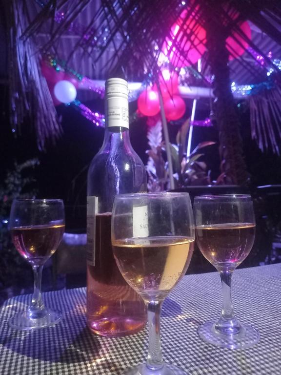 克罗托格Sea Side Elvis HomeStay的桌子上放有一瓶葡萄酒和两杯酒