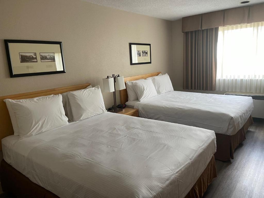 高贵林Chelsea Inn的酒店客房设有两张床和窗户。