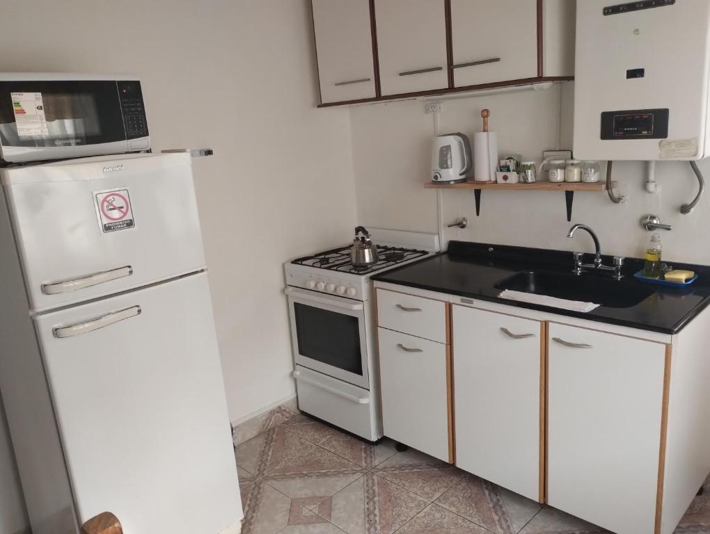 乌斯怀亚DonAldo的小厨房配有白色冰箱和水槽