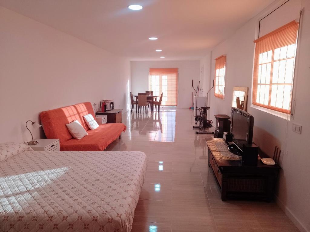 比德雷雷斯Gran Estudio de 50m2 cerca Costa Brava的一间卧室配有一张床、一张沙发和一台电视。
