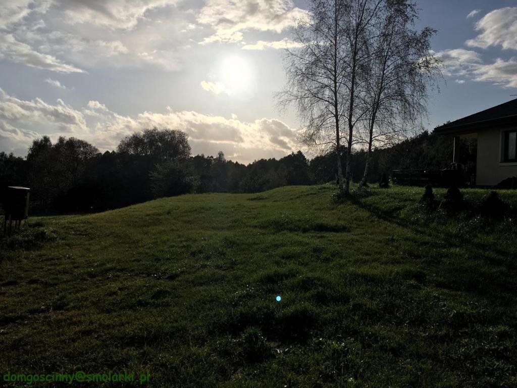 PotrzanowoDom Gościnny Smolarki Gospodarstwo Agroturystyczne的草场,有树和房子