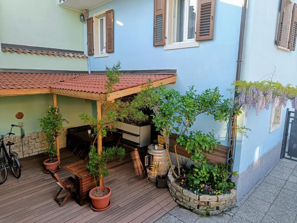 阿科Il Bosco apartment的种植了盆栽植物的庭院和建筑
