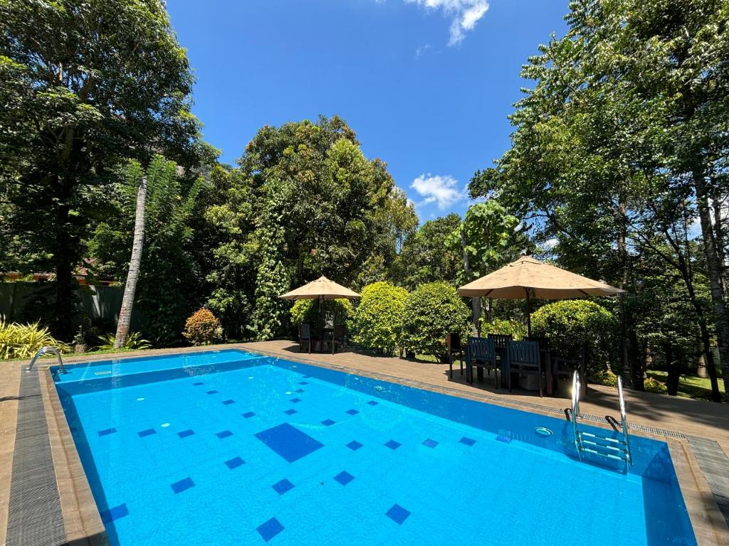 康提Serenity Villa Digana的一个带两把遮阳伞的大型蓝色游泳池