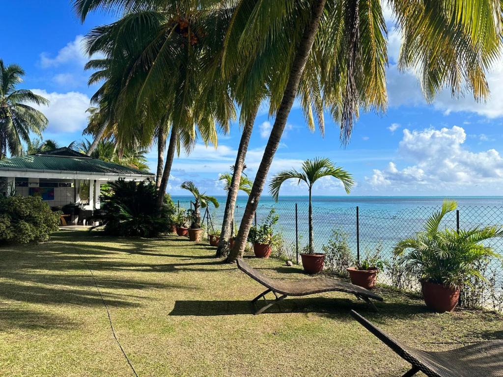 FitiiBeach & Calm at Fare Temehani的坐在棕榈树下,靠近大海的长椅