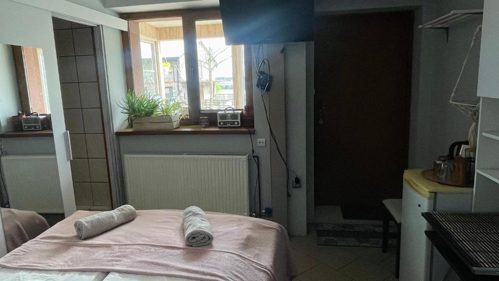 DzierzążnoKaszuby, agroturystyka z alpakami- pokój z łazienką的带窗户的客房内的一张床