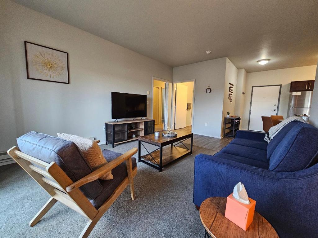 罗切斯特HUGE Apartment, 2 Bedroom, 2 Bathroom, Park Free的客厅配有蓝色的沙发和电视