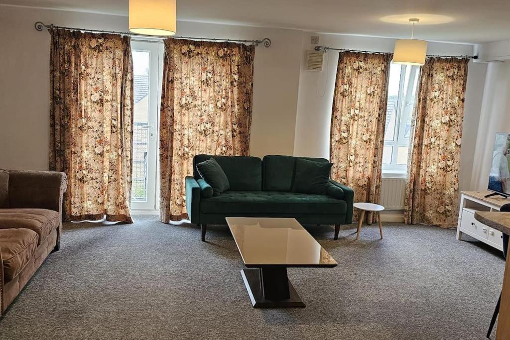 谢菲尔德A well looked after 2 bedroom flat的客厅配有绿色沙发和窗帘